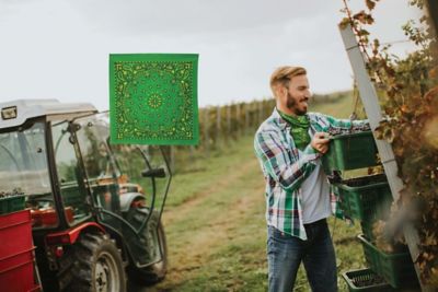 Image showing 1 th Carolina Creative Products Hav-A-Hank Paisley Handkerchief/Bandana, 22 x 22in.