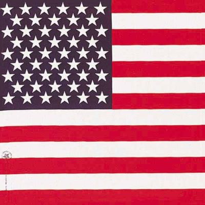 Carolina Creative Products Hav-A-Hank USA Flag Bandanna-Handkerchief, 22 x 22 in.