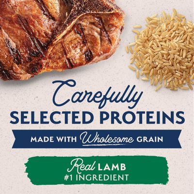 Image showing  Limited Ingredient Wet Dog Food, Lamb & Brown Rice Recipe, 13 oz.