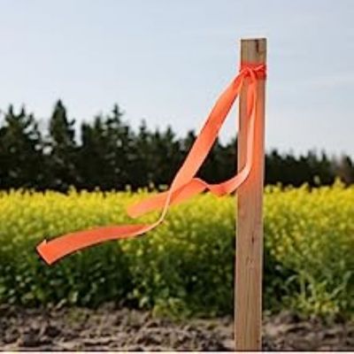 Image showing Garden Stake 1 in. x 1 in. x 5 ft.