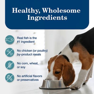 Image showing 5 th Blue Buffalo Homestyle Adult Fish and Vegetables Pate Wet Dog Food, 12.5 oz. Can