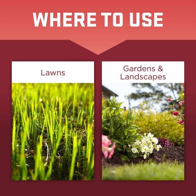 Image showing  Premium Topsoil