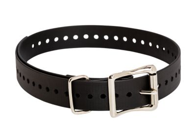 SportDOG Replacement 1 in. x 28 in. Collar Strap, Black, Compatible with Neck Sizes 8 to 22 in.