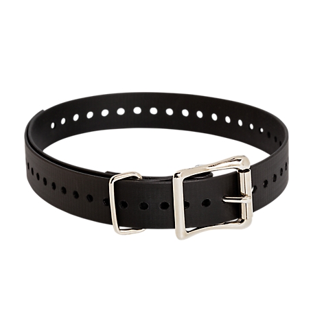 SportDOG Replacement 1 in. x 28 in. Collar Strap, Black, Compatible with Neck Sizes 8 to 22 in.