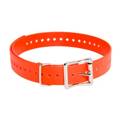 SportDOG Replacement 1 in. x 28 in. Collar Strap, Orange, Compatible with Neck Sizes 8 to 22 in.