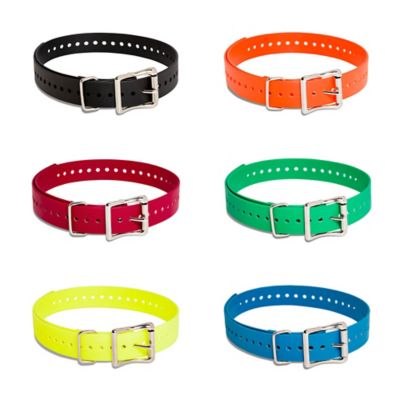 Image showing  Replacement Collar Strap, 1 in. x 28 in.