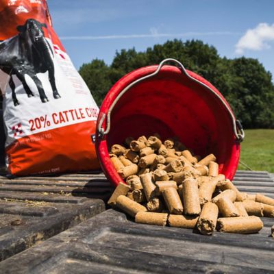 Image showing  20% Cattle Cube Protein Supplement, 50 lb. Bag