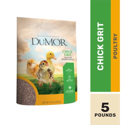 DuMOR Chick Grit Supplement, 5 lb.