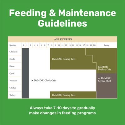 Image showing  Chick Grit Insoluble Crushed Granite Chicken Feed Supplement, 5 lb.