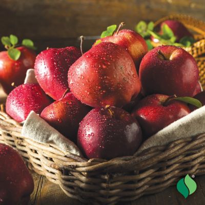 Image showing  Apple Tree Red Delicious