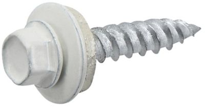 Image showing  #10 x 1 in. White Painted Self-Piercing Sheeter, 1lb Box