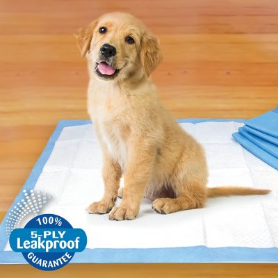 Image showing  Superior Performance Wee-Wee Dog Training Pads, 22 in. x 23 in., 30 ct.