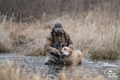 Image showing  Plastic Dog Training Dummy, 12 in. x 2 in., White, Regular