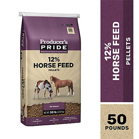 Vinyl Decal Sticker Equestrian Farm Riding Dressage Equine Details about   Horse Head V4 