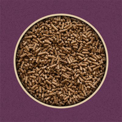 Image showing  12% Pelleted Horse Feed, 50 lb. Bag