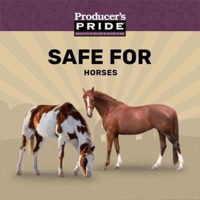 Image showing  12% Pelleted Horse Feed, 50 lb. Bag