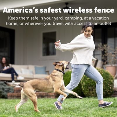 Wireless Dog Fence Electric Pet Containment System,Waterproof Reflective Stripe Collar Rechargeable Dog Collar,Adjustable Range LED Distance Display for All Dogs,for2dogs