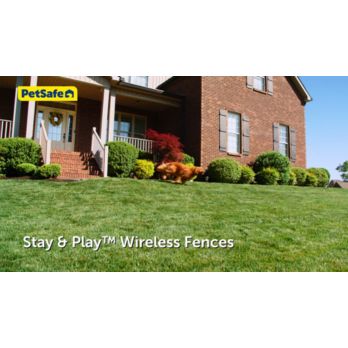 PetSafe Stay & Play Compact Wireless Dog Fence at Tractor Supply Co.