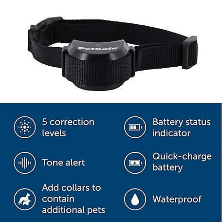 PetSafe Stay & Play Wireless Fence Rechargeable Receiver Collar at Tractor  Supply Co.