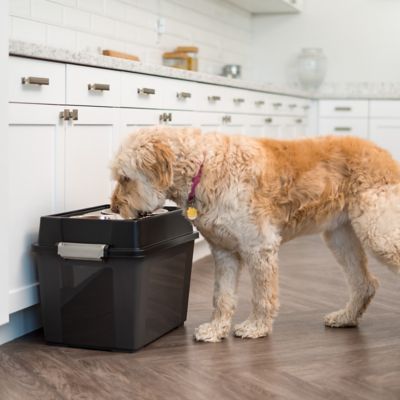IRIS USA Elevated Stainless Steel Pet Feeder with Airtight Storage, 8 Cups, Large, 2-Bowls IRIS USA Elevated Stainless Steel Pet Feeder with Airtight Storage, 8 Cups, Large, 2-Bowls