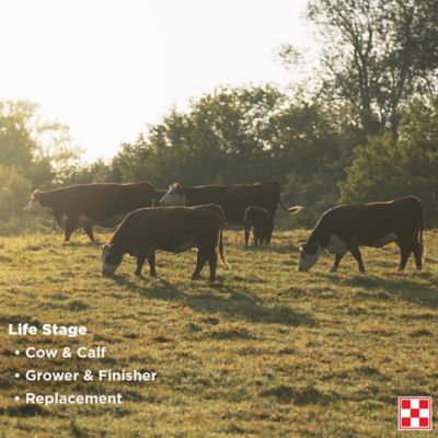 Image showing  Wind and Rain Storm All Season 7.5 Complete Altosid Fly Control Beef Cattle Mineral Feed, 50 lb. Bag