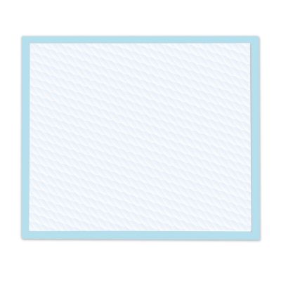 Image showing 6 th Four Paws Wee-Wee Quilted Dog Training Pads, 100 ct.