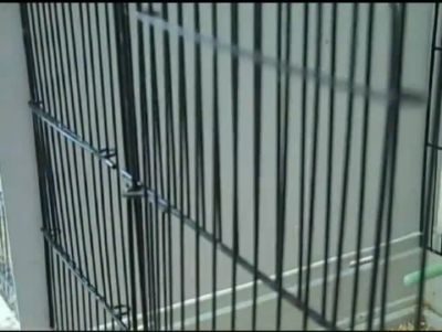 Image showing  Insight Sand Bird Perch