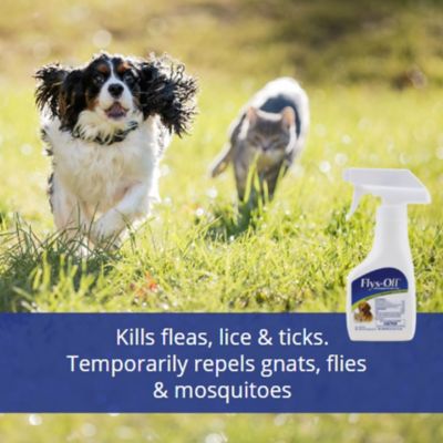 Image showing  Insect Repellent for Dogs and Cats 6 Fluid Ounces
