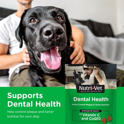 Image showing  Dental Health Soft Chews for Dogs, 70 ct.