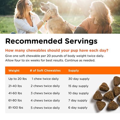 Image showing 5 th Nutri-Vet Shed-Defense Skin and Coat Supplement for Dogs, 6 oz., 60 ct.