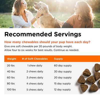 Image showing 6 th Nutri-Vet Shed-Defense Skin and Coat Supplement for Dogs, 6 oz., 60 ct.