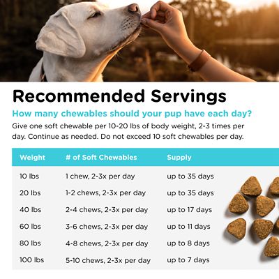 Image showing 6 th Nutri-Vet Pet-Ease Soft Chewable Calming Supplement Treats for Dogs, 70 ct.