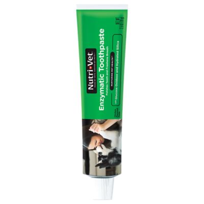 enzymatic toothpaste