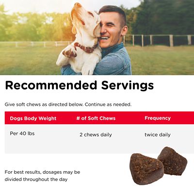Image showing  Hip and Joint Regular Strength Soft Chew Supplement for Dogs, 5.3 oz., 60 ct.