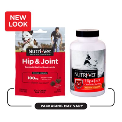Image showing  Hip and Joint Regular Strength Soft Chew Supplement for Dogs, 5.3 oz., 60 ct.