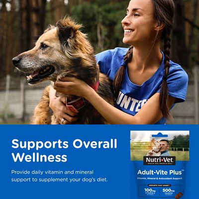 Image showing  Adult-Vite Plus Multi-Vitamin Soft Chew Dog Supplement, 70 ct.