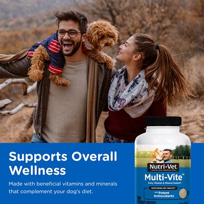 Image showing  Multi-Vite Vitamin Soft Chew Dog Supplement, 120 ct.