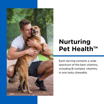Image showing  Multi-Vite Vitamin Soft Chew Dog Supplement, 120 ct.