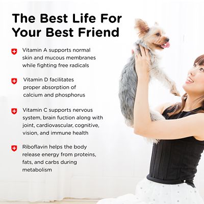 Image showing 5 th Nutri-Vet Multi-Vite Vitamin Soft Chew Dog Supplement, 120 ct.