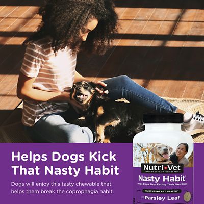 Image showing  Nasty Habit Coprophagia Prevention for Dogs, 60 ct.