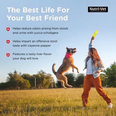 Image showing 6 th Nutri-Vet Nasty Habit Coprophagia Prevention for Dogs, 60 ct.