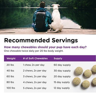 Image showing 7 th Nutri-Vet Nasty Habit Coprophagia Prevention for Dogs, 60 ct.