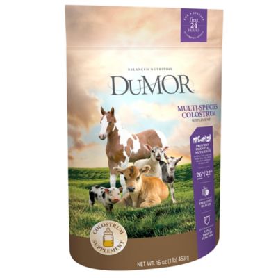 DuMOR Multi-Species Colostrum Supplement, 16 oz.