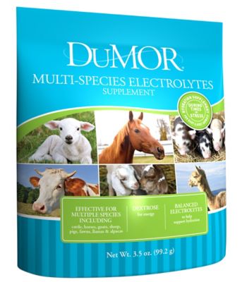 DuMOR Multi-Species Electrolytes Supplement, 3.5 oz.