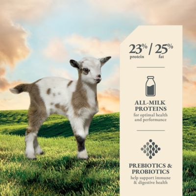 Image showing  Goat Kid Milk Replacer