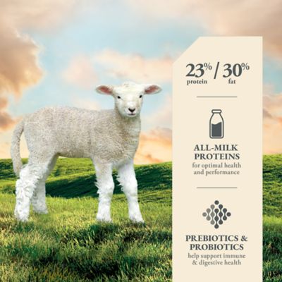 Image showing  Lamb Milk Replacer