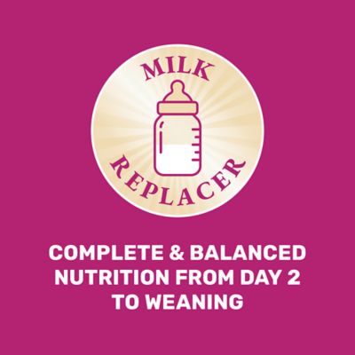 Image showing  Lamb Milk Replacer