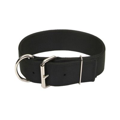 double bar buckle dog collar