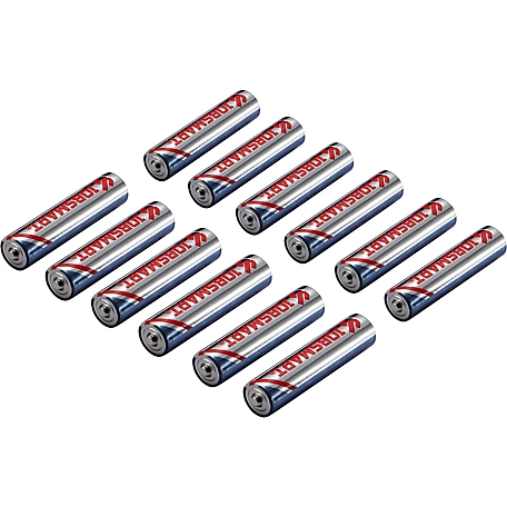 JobSmart AAA Alkaline Batteries, 12-Pack