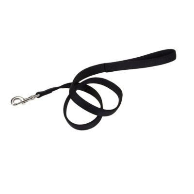 Retriever Double-Ply Snap Closure Nylon Dog Leash, 1 in. x 6 ft., Black